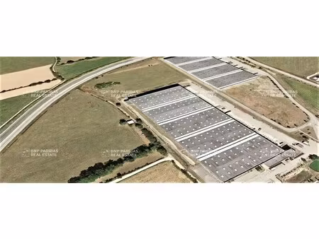 location entrepôt logistique rives 38140 33646m²
