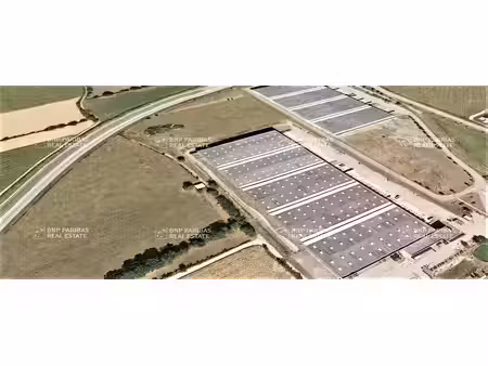 location entrepôt rives 38140 33646m²