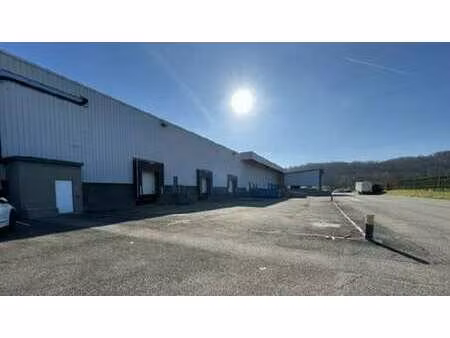 vente local d’activités saint quentin fallavier 38070 2420m²