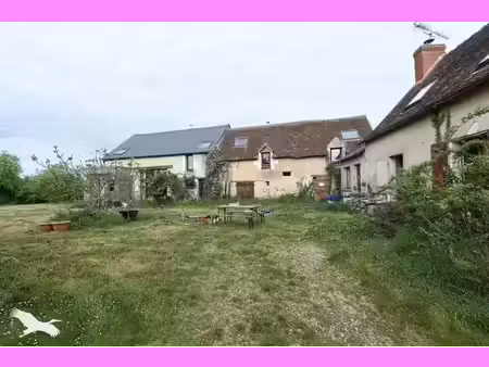 vente maison 10 pièces 268 m² à saint-hippolyte (37600)  317 700 €