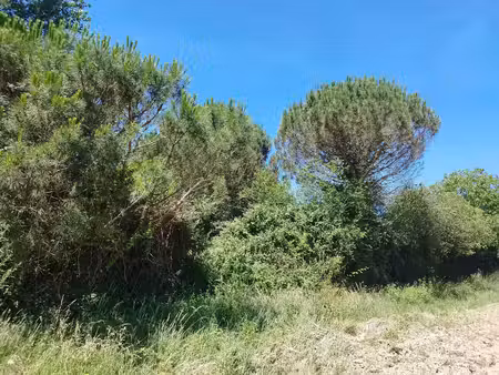 terrain de 800 m² à gratens (31430)