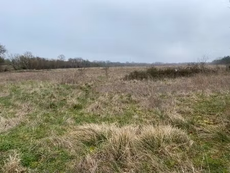 terrain à bâtir à pont-l'abbé-d'arnoult (17250)