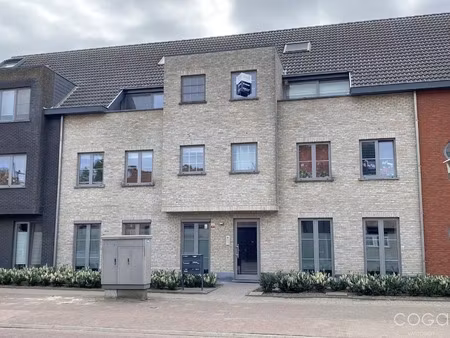 appartement te huur in wuustwezel met 1 slaapkamer
