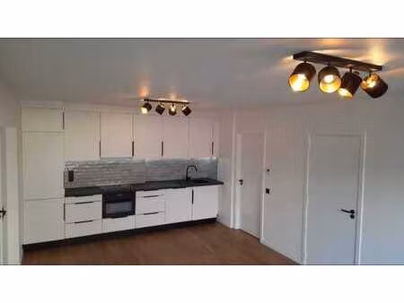 appartement 1 chambre  cuisine moderne