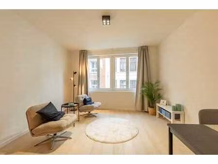 appartement au cœur d'anvers