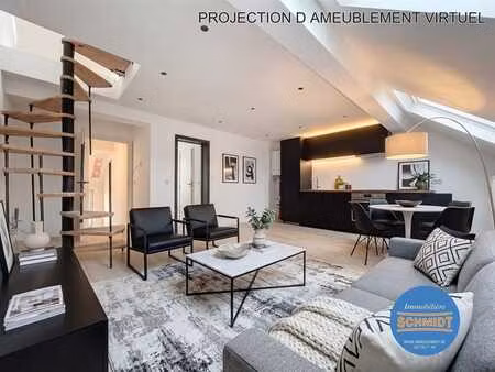 magnifique appart duplex 2ch