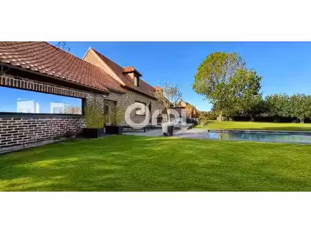 maison avec piscine et terrasse bourghelles (59)