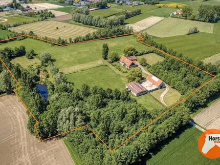 maison à vendre à oekene € 1.495.000 (lp095) - horse immo | zimmo