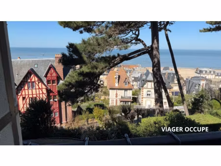 studio vue mer en viager occupe