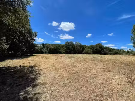 vente terrain 15973 m² à saint-priest-sous-aixe (87700)  17 500 €