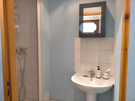 location meublée appartement 1 pièce 25 m² à lille (59000)  600 €