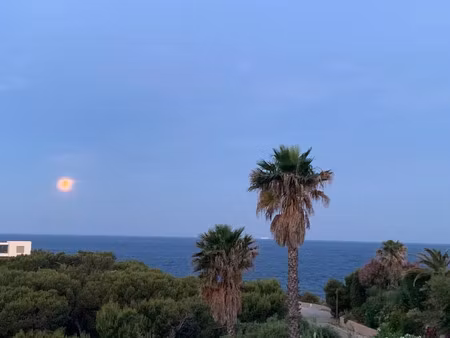 location appartement 5 pièces 150 m² à saint-cyr-sur-mer (83270)  2 970 €