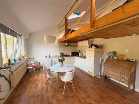 appartement 1 chambre avec mezzanine