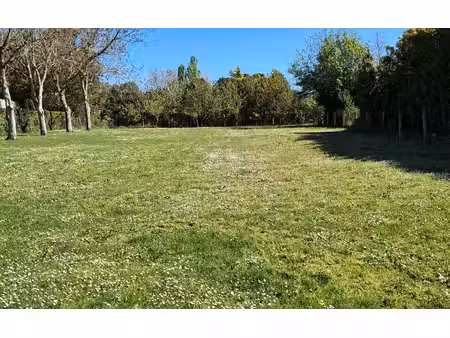 terrain pechbusque m² t- à vendre  199 000 €
