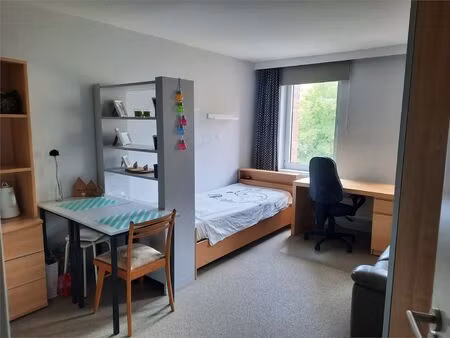 studio à louer à naamsestraat 171 louvain (rbw13663)