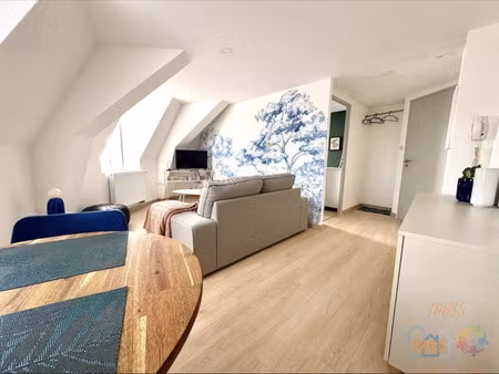appartement à louer mulhouse