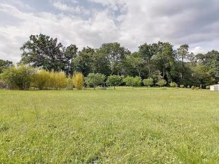 grand terrain constructible viabilisé