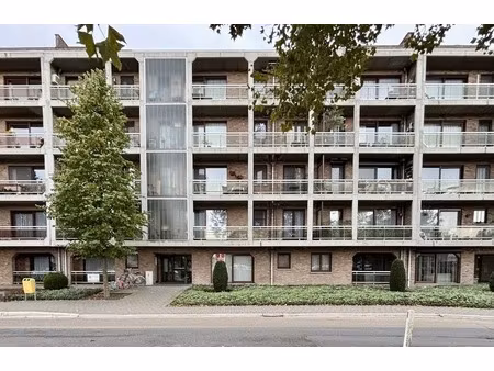 appartement te huur in hasselt met 2 slaapkamers