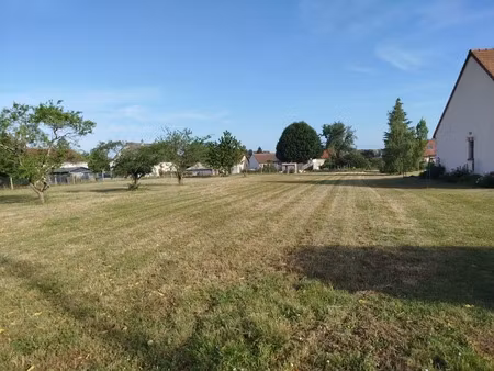terrain à vendre sambin (41)