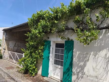 vente maison 2 pièces 100 m² la grève-sur-mignon (17170)