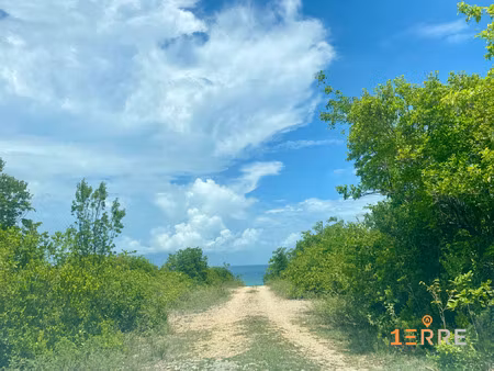 achat terrain 2 023m² st martin 97150