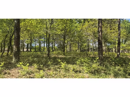 vente terrain à construire 578 m² belin-béliet (33830)