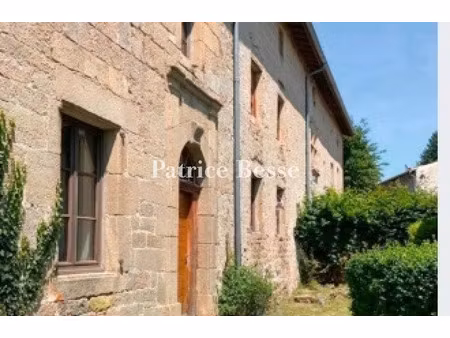 vente maison 19 pièces 475 m² à merle-leignec (42380)  360 000 €