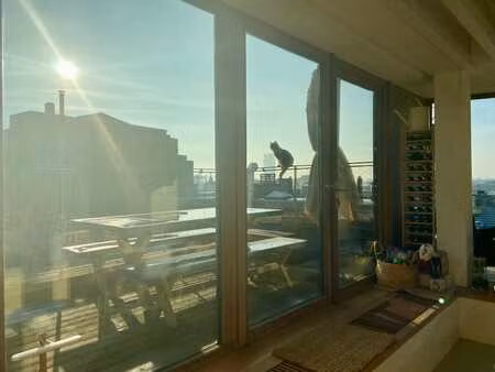 penthouse très lumineux plein sud  avec terrasses et parking