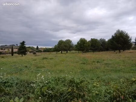 terrain 324 m² saint pargoire