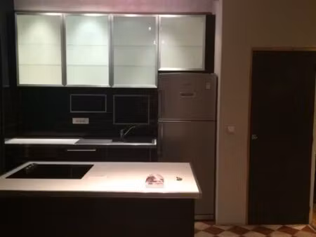 à louer appartement t1 bis lyon 7
