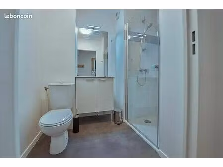 studio 1 pièce 16 m²