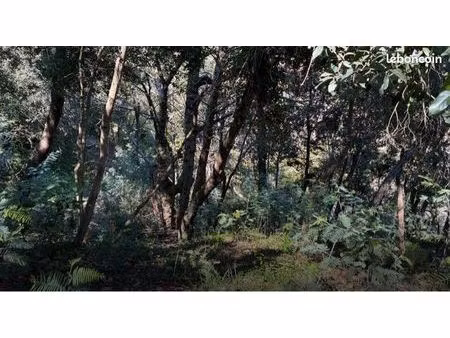 vente terrain non constructible sainte-agnes/ menton