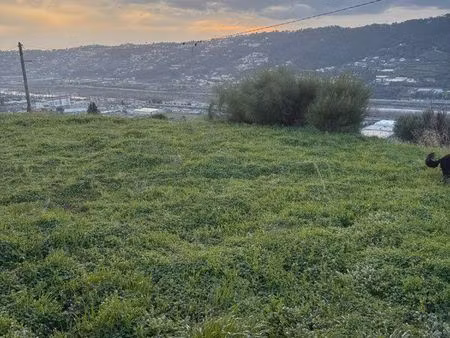terrain plat colline niçoise