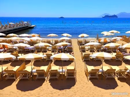 cannes banane