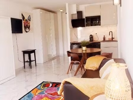 grand studio meublé de 30 m² avec terrasse sur jardin – parking privé n°2
