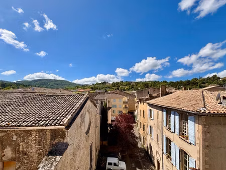 t3 rez-de-jardin - centre historique apt