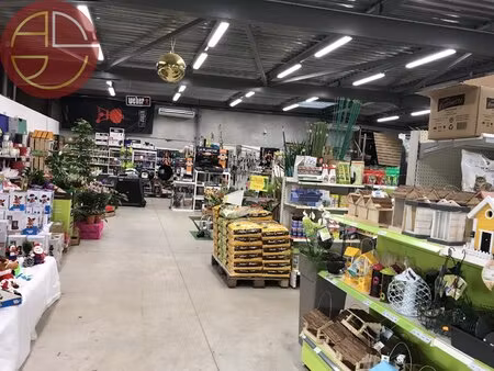 local commercial