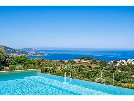 corbara  villa 4 chambres  piscine  vue panoramique mer