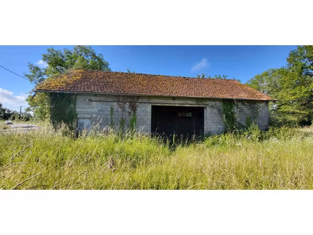 hangar sur 2330 m2