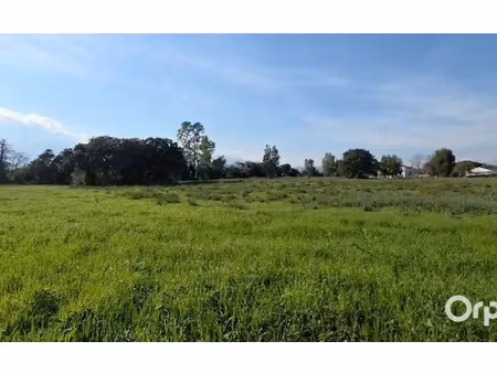 terrain prunelli-di-fiumorbo m² t- à vendre  131 000 €