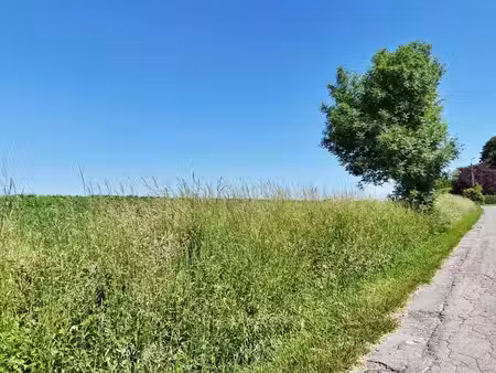 très beau terrain pour lotissement
