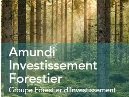 parts du gfi amundi investissement forestier