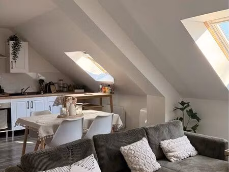 appartement en location