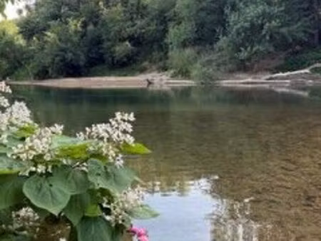 terrain avec lac et cabanon