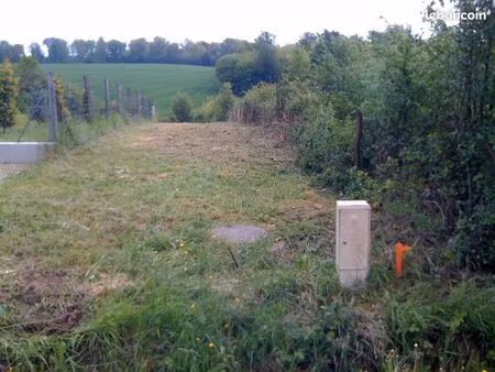 terrain constructible