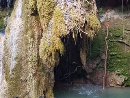 terrain  source et troglodytes