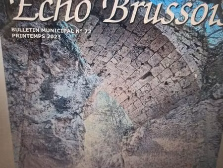 échos brussois