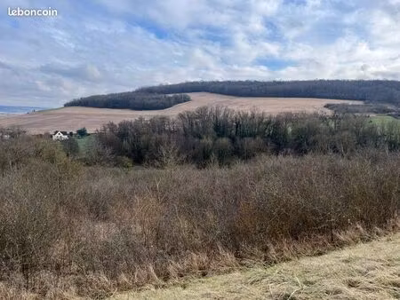 terrain et bois