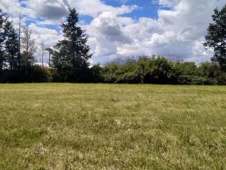 terrain 3000m2 viabilisé
