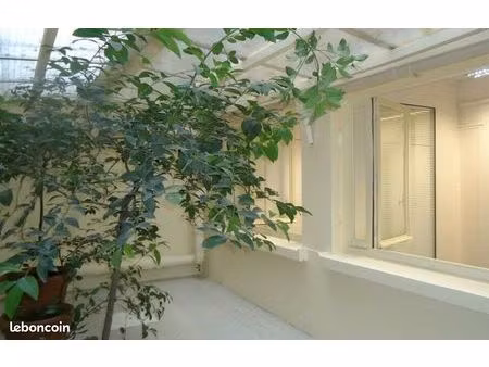 bureaux 74 m²